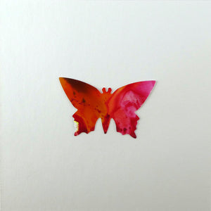 Pink and orange framed butterfly (B4)
