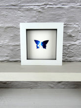 Load image into Gallery viewer, Blue and White framed butterfly (B10)