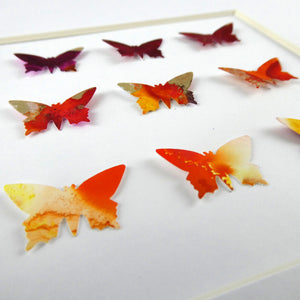 9 Orange and Gold Butterflies
