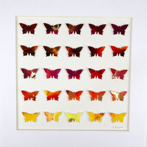 25 Golden Butterflies