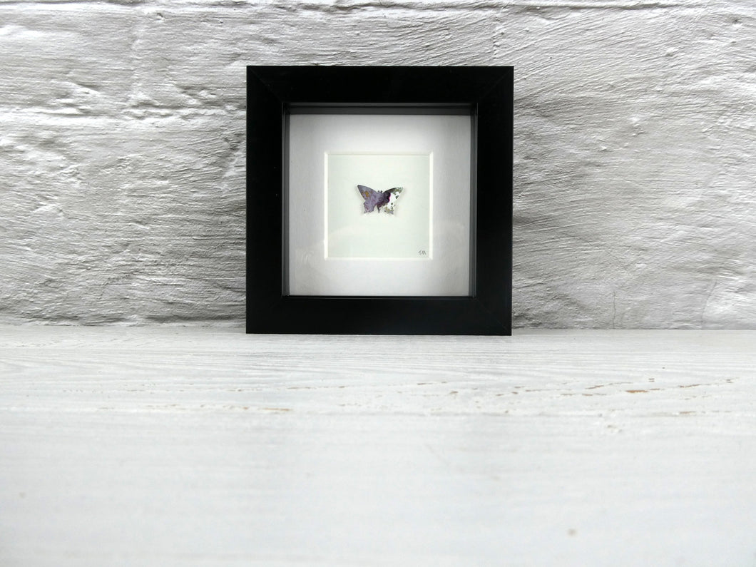 One framed butterfly
