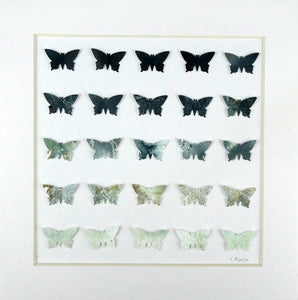 25 Grey Butterflies