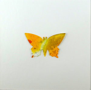 Yellow framed butterfly (B6)