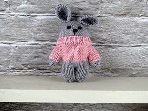 Small teddy in pink jumper.