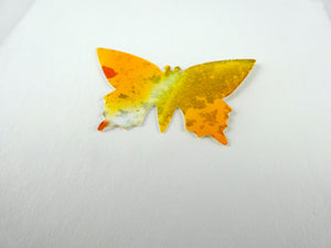 Yellow framed butterfly (B6)