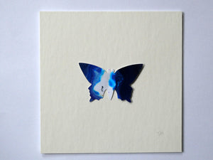 Blue and White framed butterfly (B10)