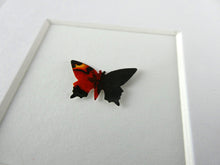Load image into Gallery viewer, One orange butterfly B16