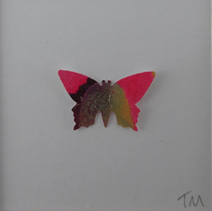 One Red and Gold butterfly
