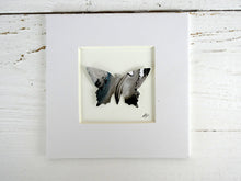 Load image into Gallery viewer, One framed butterfly (Black and Silver) B12