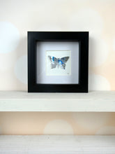 Load image into Gallery viewer, One Silver and Blue Butterfly B17