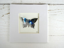 Load image into Gallery viewer, One Silver and Blue Butterfly B17
