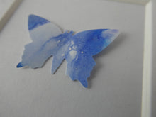 Load image into Gallery viewer, One Pale Blue butterfly